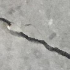Crack Sample
